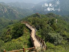 -大岭沟猕猴桃谷风景区