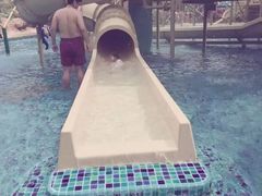 -亚马逊丛林水乐园