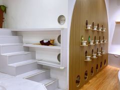 -COLOR PETS 撸猫馆·购猫·猫咖(长风大悦城店)