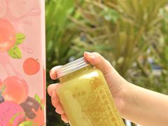 -野萃山·潮汕厚果汁(十亩地店)