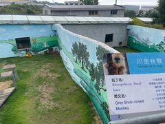 -西霞口神雕山野生动物世界