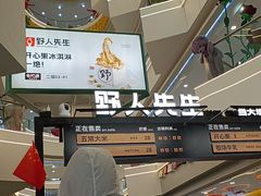 -野人先生Gelato(上海长宁龙之梦店)