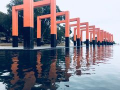 -漳州滨海火山岛自然生态风景区