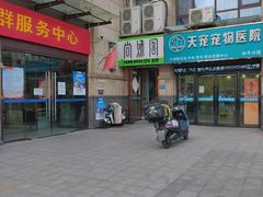 -天宠宠物医院24小时·急重症诊疗中心·全科·腔镜特色(和平分院)