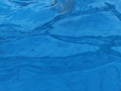 -重庆海昌加勒比海水世界