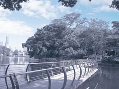 -东山湖公园