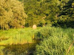 -白河湾生态旅游一条川