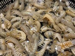 -木柴豆腐·活海鲜·鲁菜(岚山路店)