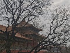 -故宫博物院(故宫)