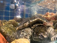 -健眺小海鲜(临海后山店)