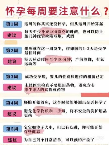 怀孕注意事项孕期每周注意事项, 准爸妈看完这一篇就够