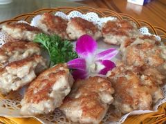 -老乡村美食农庄