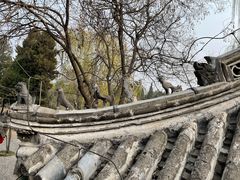 -莲池书院博物馆