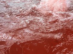 -春晖园度假酒店温泉