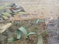 -北京植物园-展览温室