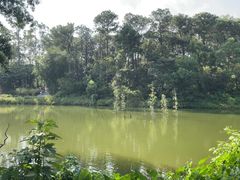 -金山植物公园