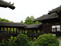 -大唐贡茶院