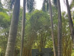 -荔香公园
