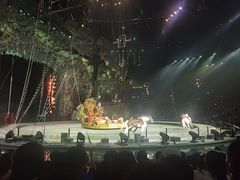 -广州长隆国际大马戏