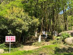 -火炉山森林公园
