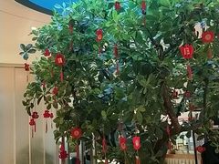 -悦海·家宴·冰花皮皮虾大锅贴(宝龙店)