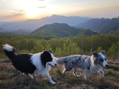 -灵山