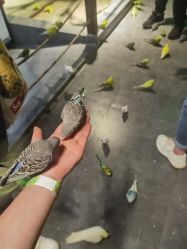 -酷嗒动物文化乐园(cutezoo西溪乐天城店)