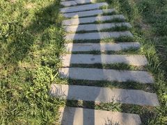 -Supine Bistro溯泮餐厅