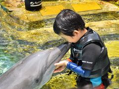 -新加坡水上探险乐园