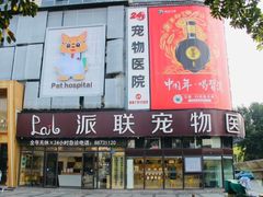 -派联宠物医院·24h·CT·异宠