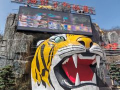 -栾川竹海野生动物园