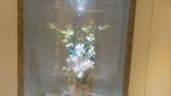 -伊芙世家美颜美养SPA