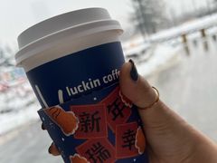 -瑞幸咖啡(绿地新都会9号楼店)
