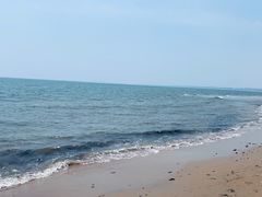 -八沟羊汤(河北大街店)