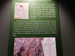 -辽宁古生物博物馆