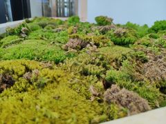 -喜茶(永旺梦乐城店)