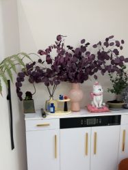 -WENDY·温迪皮肤管理