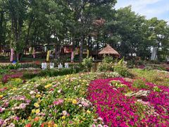 -沂蒙山旅游区云蒙景区(蒙山国家森林公园)