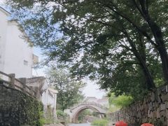 -天目湖松岭竹海漂流