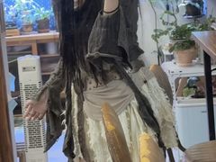 -吉丁鸟咖·异宠·寄养