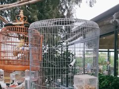 -蘇河湾·新鲁菜·泰山宴(泰山店)
