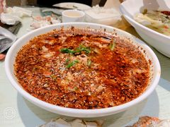 -朝郡酒家·粤菜(燕大星苑店)