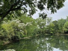 -西溪国家湿地公园