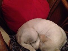 北方国际青年旅舍-哈尔滨北方国际青年旅舍(中央大街店)