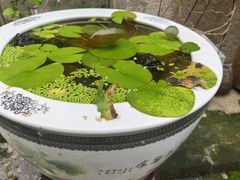 -三溪村