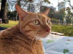-瑞鹏宠物医院·骨科·猫科·内科(第一中心)