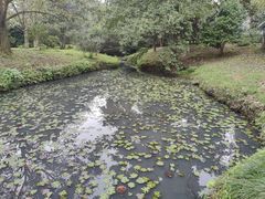 -杭州植物园