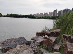 -南翔镇银翔湖公园