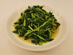 蒜蓉鸡毛菜-金春禧(世茂国际广场店)