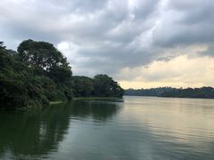 -河川生态园